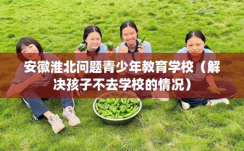 安徽淮北问题青少年教育学校（解决孩子不去学校的情况）