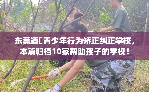 东莞道滘青少年行为矫正纠正学校，本篇归档10家帮助孩子的学校！