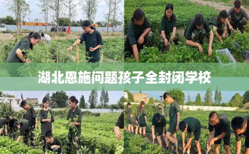 湖北恩施问题孩子全封闭学校