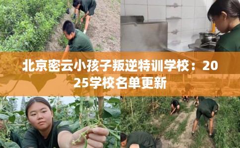 北京密云小孩子叛逆特训学校：2025学校名单更新