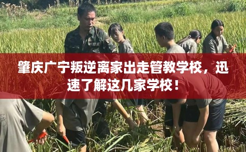 肇庆广宁叛逆离家出走管教学校，迅速了解这几家学校！