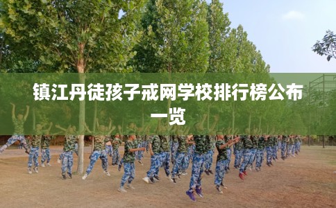 镇江丹徒孩子戒网学校排行榜公布一览