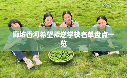 廊坊香河希望叛逆学校名单盘点一览