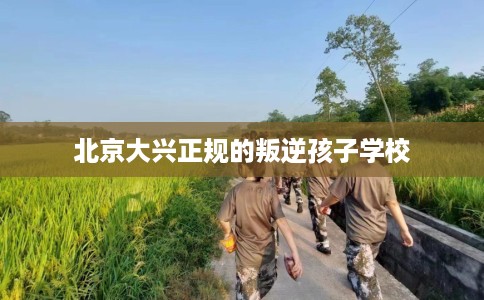 北京大兴正规的叛逆孩子学校
