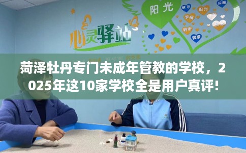 菏泽牡丹专门未成年管教的学校，2025年这10家学校全是用户真评!