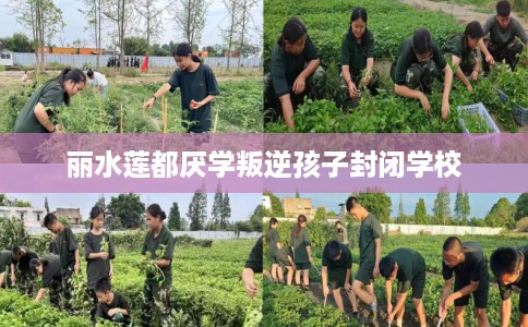 丽水莲都厌学叛逆孩子封闭学校