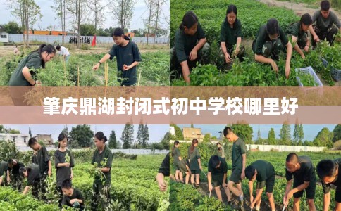 肇庆鼎湖封闭式初中学校哪里好