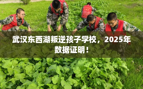 武汉东西湖叛逆孩子学校，2025年数据证明！