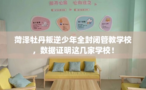 菏泽牡丹叛逆少年全封闭管教学校，数据证明这几家学校！