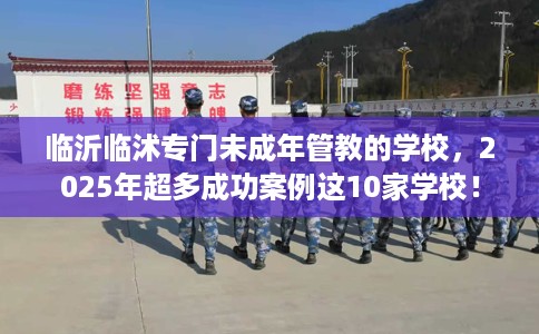 临沂临沭专门未成年管教的学校，2025年超多成功案例这10家学校！