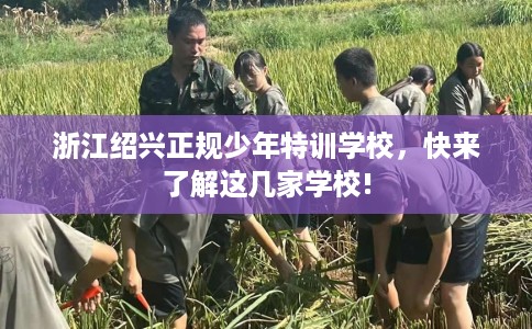 浙江绍兴正规少年特训学校，快来了解这几家学校!