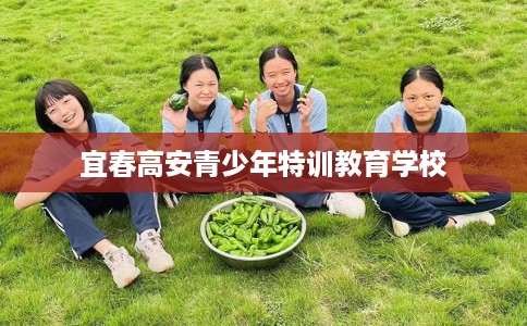 宜春高安青少年特训教育学校