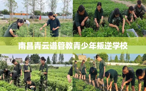 南昌青云谱管教青少年叛逆学校 南昌青云谱管教青少年叛逆学校