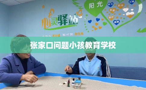 张家口问题小孩教育学校