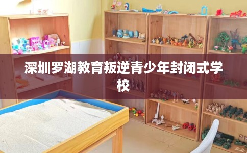 深圳罗湖教育叛逆青少年封闭式学校