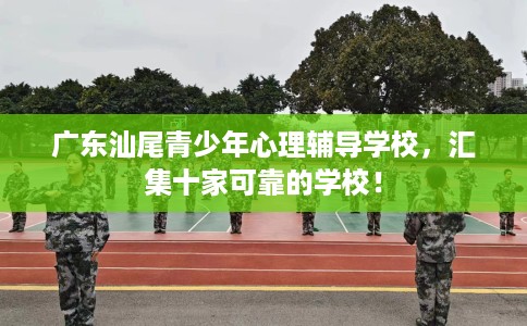广东汕尾青少年心理辅导学校，汇集十家可靠的学校！