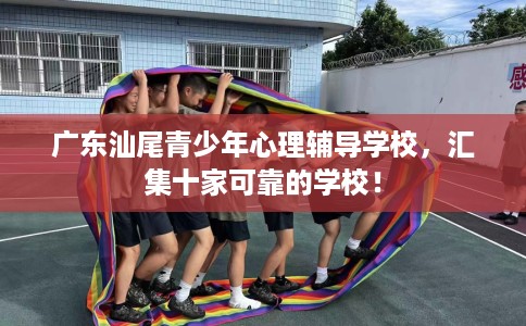 广东汕尾青少年心理辅导学校，汇集十家可靠的学校！