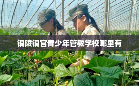 铜陵铜官青少年管教学校哪里有