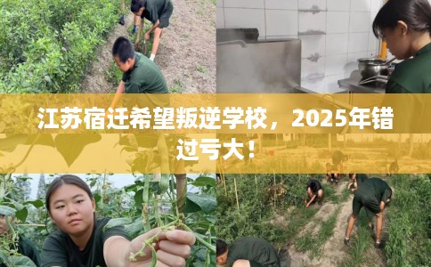 江苏宿迁希望叛逆学校,2025年错过亏大! 江苏宿迁希望叛逆学校,2025年错过亏大!