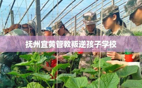 抚州宜黄管教叛逆孩子学校