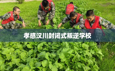 孝感汉川封闭式叛逆学校