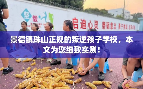 景德镇珠山正规的叛逆孩子学校，本文为您细致实测！