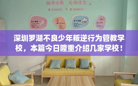 深圳罗湖不良少年叛逆行为管教学校，本篇今日隆重介绍几家学校！