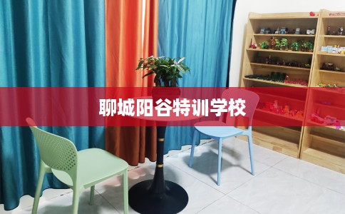 聊城阳谷特训学校