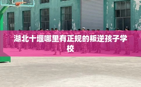湖北十堰哪里有正规的叛逆孩子学校