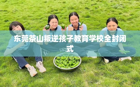 东莞茶山叛逆孩子教育学校全封闭式