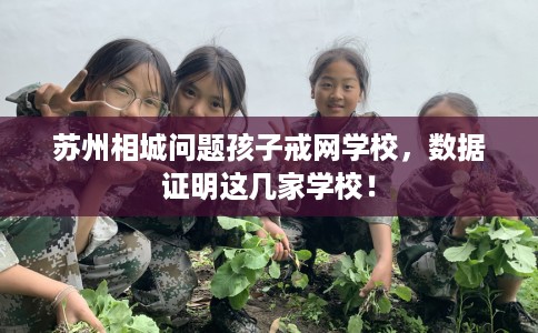 苏州相城问题孩子戒网学校，数据证明这几家学校！