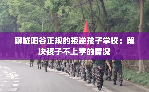 聊城阳谷正规的叛逆孩子学校：解决孩子不上学的情况
