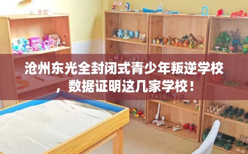 沧州东光全封闭式青少年叛逆学校，数据证明这几家学校！