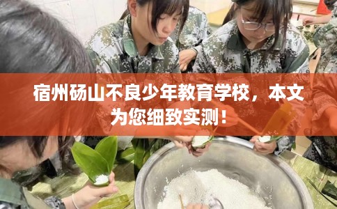宿州砀山不良少年教育学校，本文为您细致实测！