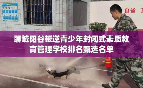 聊城阳谷叛逆青少年封闭式素质教育管理学校排名甄选名单