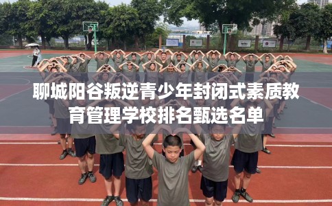 聊城阳谷叛逆青少年封闭式素质教育管理学校排名甄选名单