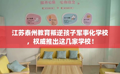 江苏泰州教育叛逆孩子军事化学校，权威推出这几家学校！