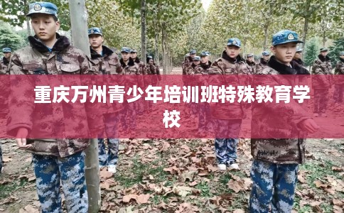 重庆万州青少年培训班特殊教育学校