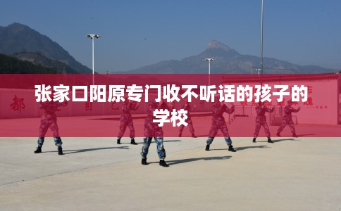张家口阳原专门收不听话的孩子的学校