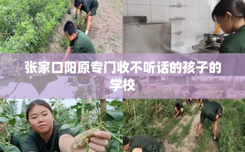 张家口阳原专门收不听话的孩子的学校