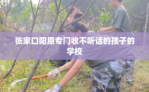 张家口阳原专门收不听话的孩子的学校