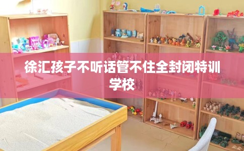 徐汇孩子不听话管不住全封闭特训学校