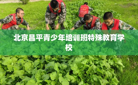 北京昌平青少年培训班特殊教育学校