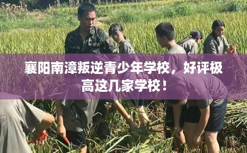 襄阳南漳叛逆青少年学校，好评极高这几家学校！