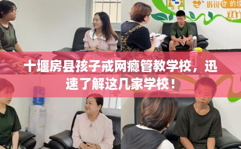 十堰房县孩子戒网瘾管教学校，迅速了解这几家学校！