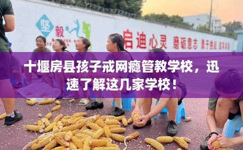 十堰房县孩子戒网瘾管教学校，迅速了解这几家学校！