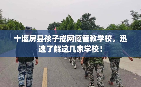 十堰房县孩子戒网瘾管教学校，迅速了解这几家学校！