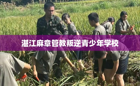 湛江麻章管教叛逆青少年学校