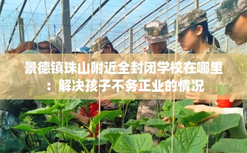 景德镇珠山附近全封闭学校在哪里：解决孩子不务正业的情况