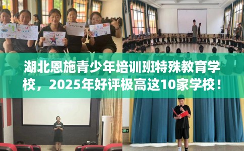 湖北恩施青少年培训班特殊教育学校，2025年好评极高这10家学校！